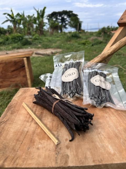 AAA Estate Grade Vanilla Beans 1lb — cured Bourbon vanilla beans from Lake Victoria, Uganda (photo 3 of 4)