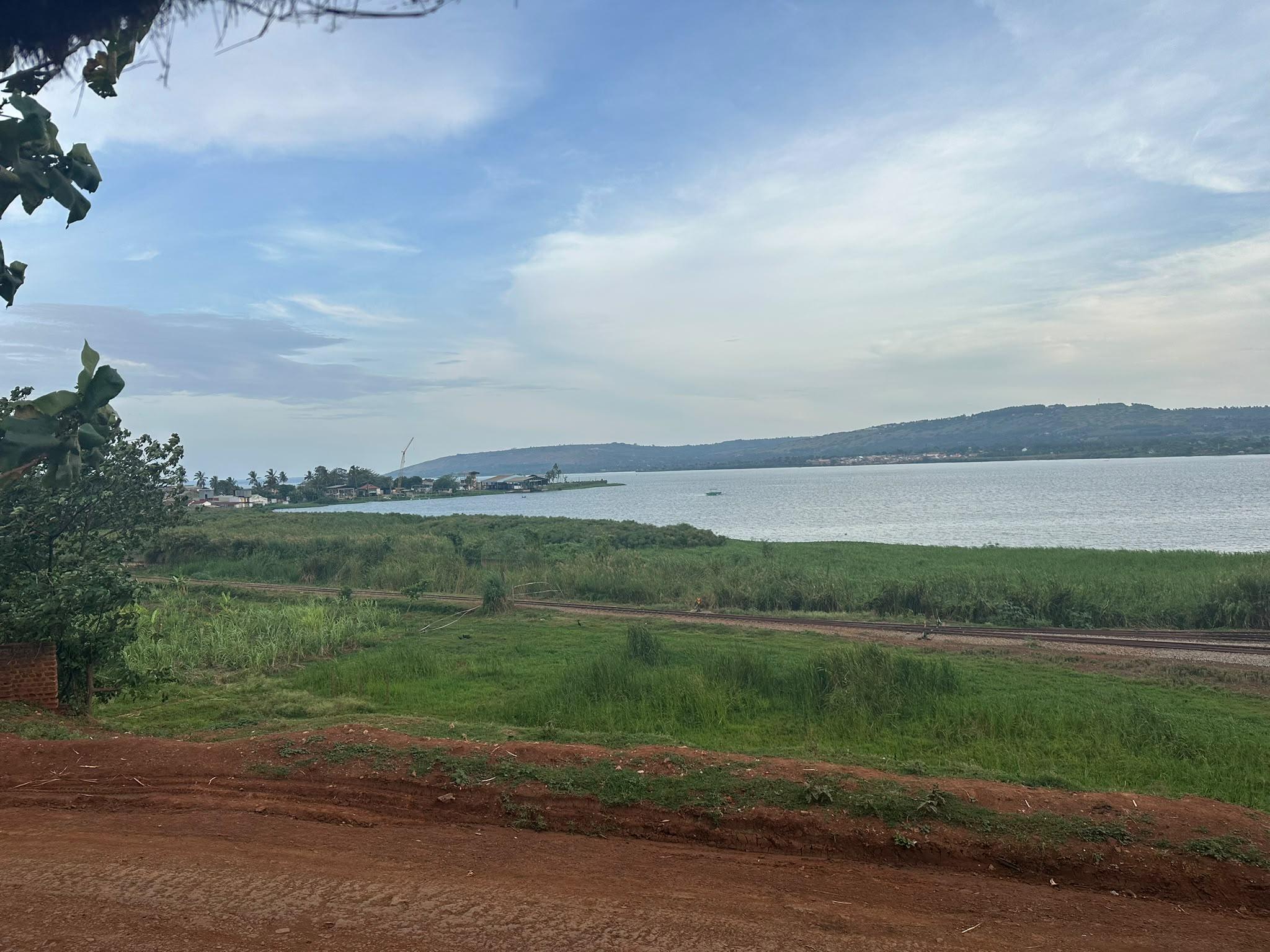 Wetlands and grassland running down to Lake Victoria, with hills on the far shore, near the Garden of We Do estate in Uganda.