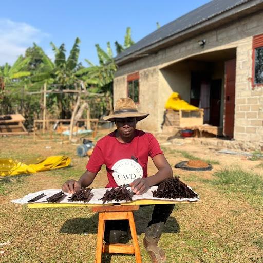 Kisuule Daniel in a GWD T-shirt and sun hat, sorting cured vanilla beans on a drying table outside the estate house.