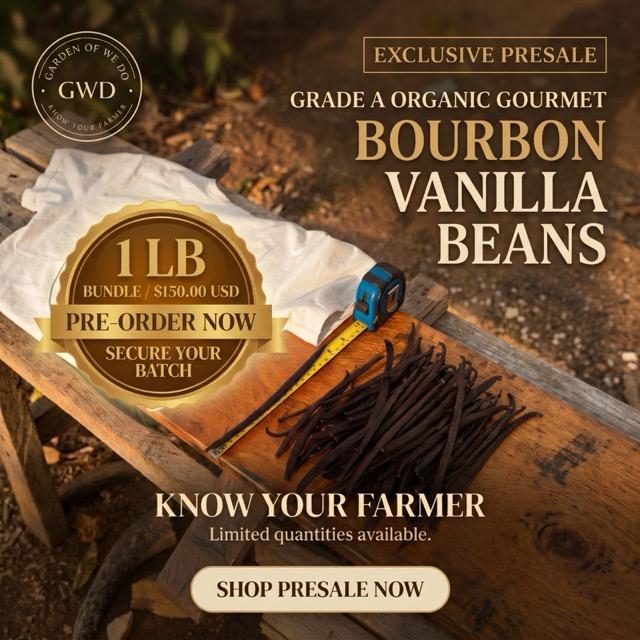 Exclusive presale: Grade A organic gourmet Bourbon vanilla beans, 1 lb bundle for $150.00 USD. Pre-order now to secure your batch. Know your farmer. Limited quantities available.